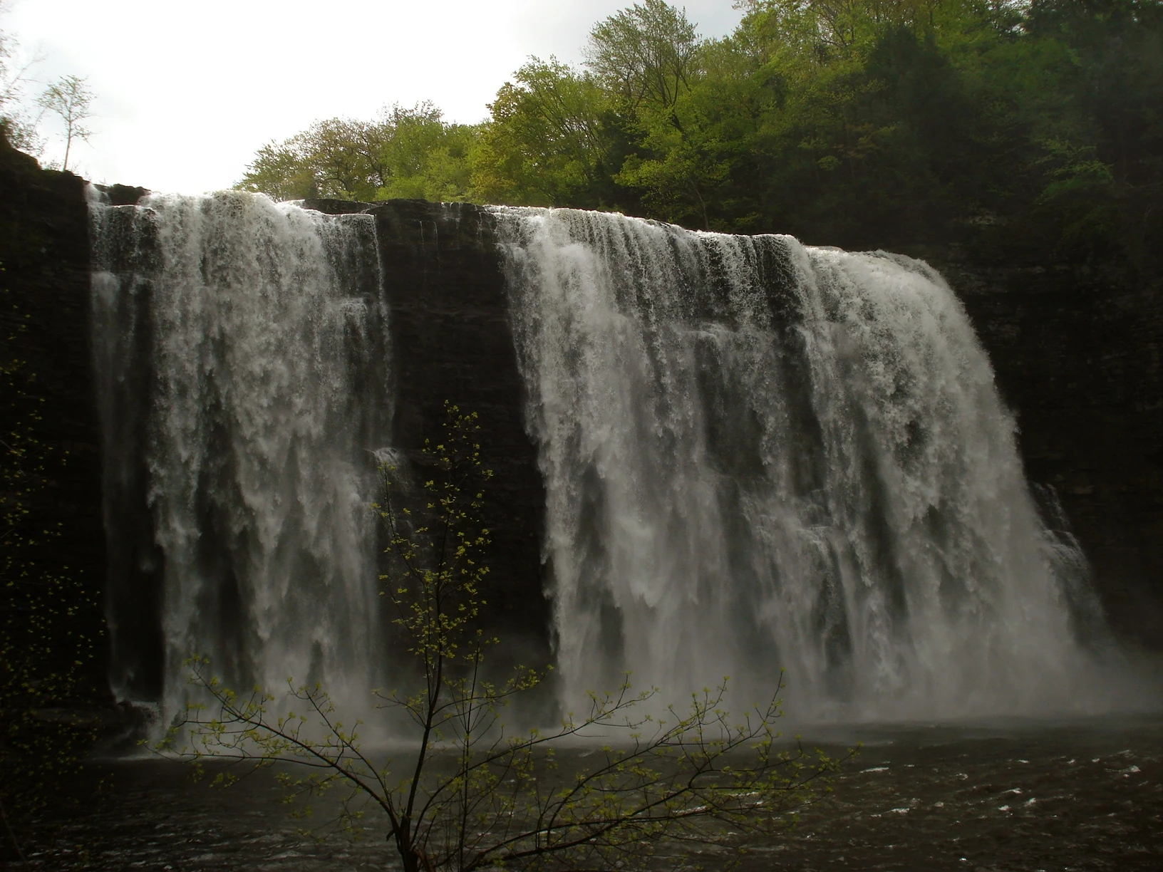Salmon River Falls flowing over a wooded gorge